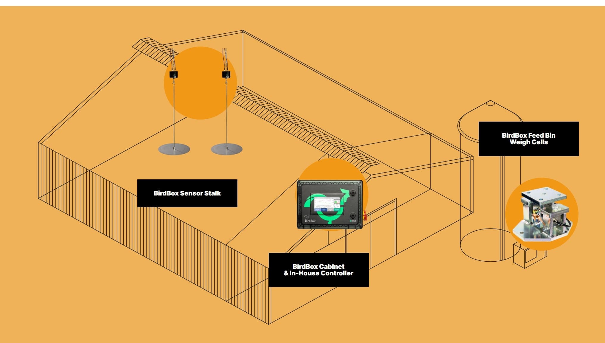 Příklad slepičího chovu s AI senzory